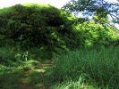 Powerline Trail south